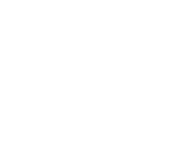 Logo fixe